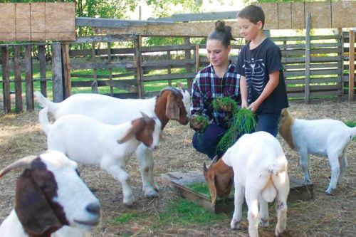 Christine Blackburn with neighbour Dalton, feeding her pet goats some carrots in their pen. The goats have been ordered off the property by the end of the week by Central Frontenac Township.